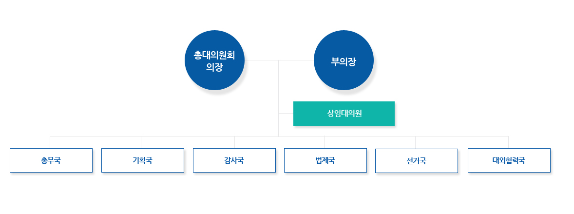 총대의원회 의장 옆 부의장 밑에 상임대의원 밑에 총무국, 기획국, 감사국, 법제국, 선거국, 대외협력국이 있다